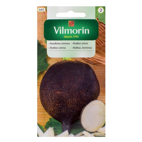 Reďkev runder schwarzer 5g