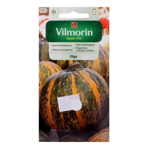 Tekvica bezšupková olga 2g