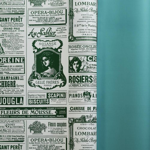 Fólia bal.papier s/20 zel.+noviny 58*58cm