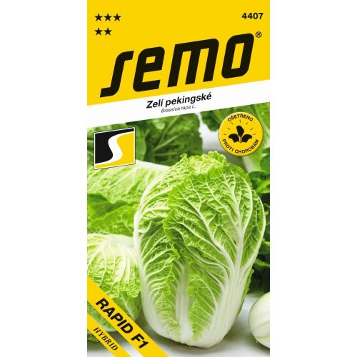 Kapusta pekingská rapid f1 50s