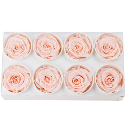 Ruža preparovaná 5cm pink blush /ks - bal. 8 ks