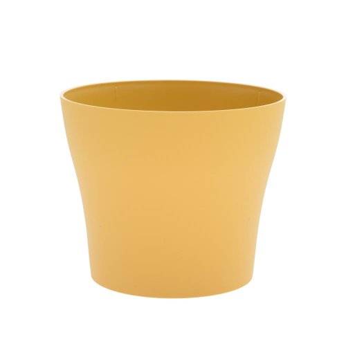 Obal tulipán mat medová 13xv11cm