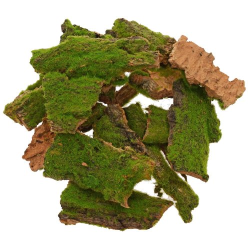 Kôra s machom 100g/5-10cm/31can81fu-100