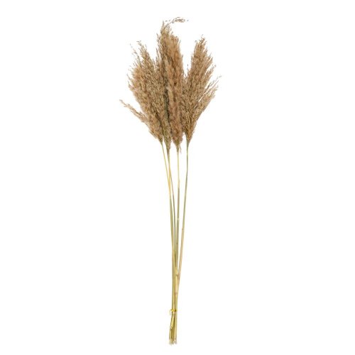 Tráva sušina natural