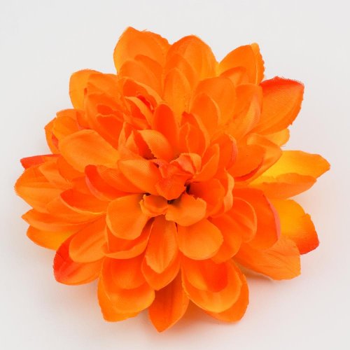 Hlava dhalia oranžová p:11 bal:24ks