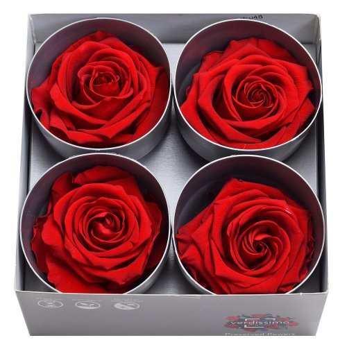 Ruža preparovaná 7/8cm red /ks