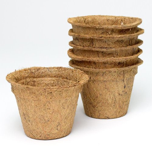 Sada kokos.sadbov 400ml/ 6ks