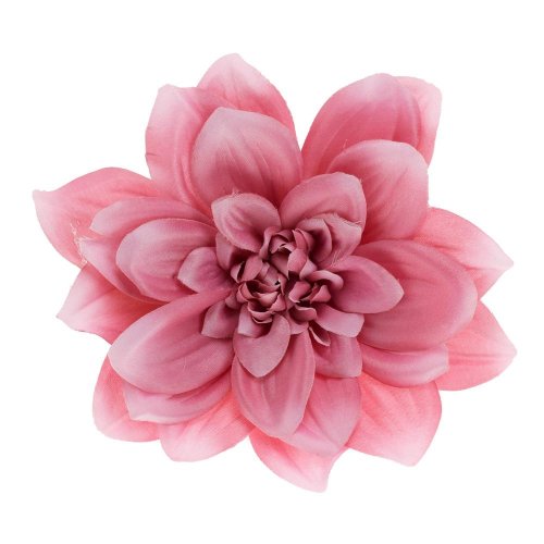 Hlava dahlia 14cm bal.12ks ružové