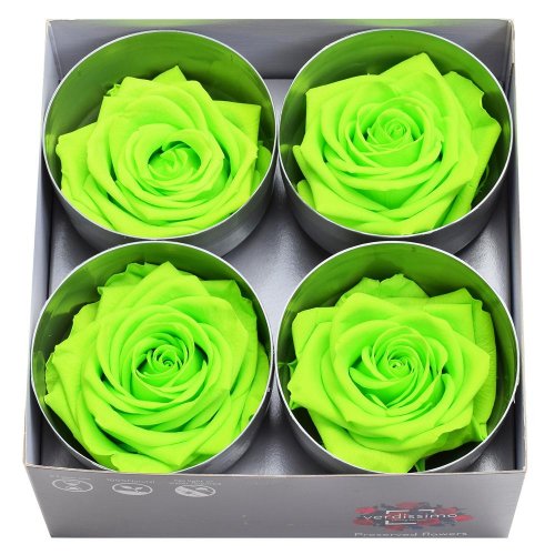 Ruža preparovaná 7/8cm lime green /ks - bal. 4 ks