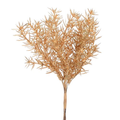 Vetvička zeleň asparát zlatý 18cm