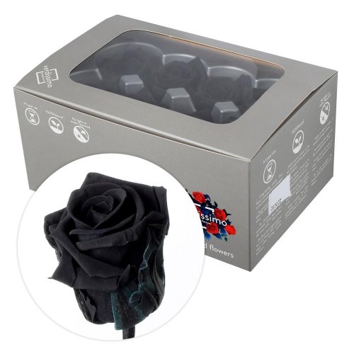 Ruža preparovaná 4cm black /ks- bal. 8 ks