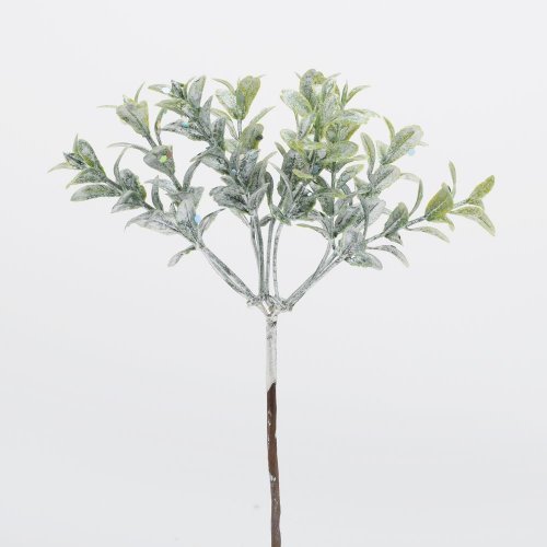 Zápich buxus zel/biely  19cm