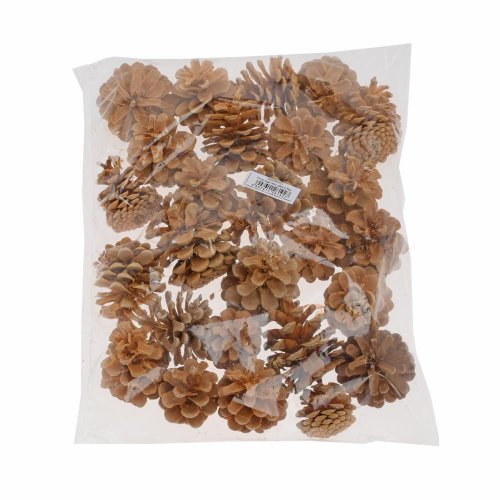 Pinus niger 5-8cm wyb. pacz 0,5kg