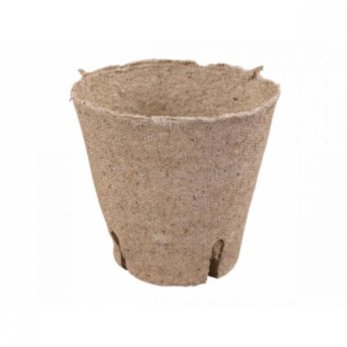 Rašel.sadb.okrúhly 8cm en