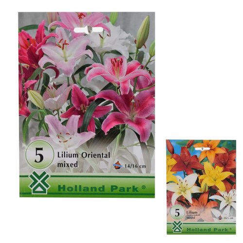 Large pack - lilium mix as/or 5ks