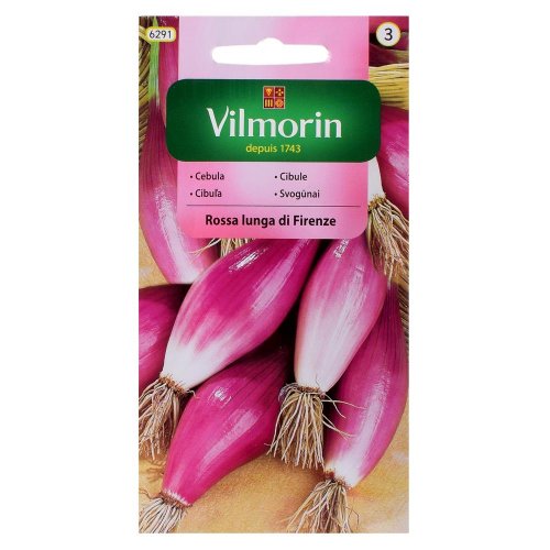 Cibuľa rossa lunga di firenze 2g