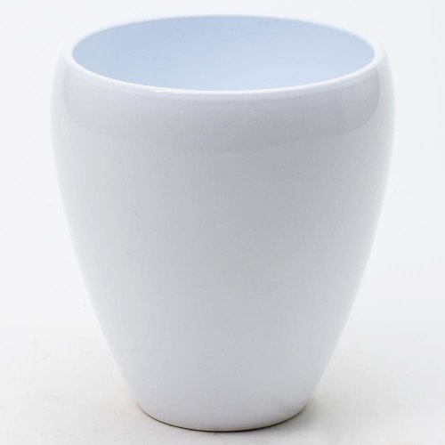 Obal orch.luna white 14cm