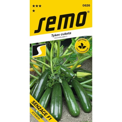 Tekvica senzace f1 1,5g