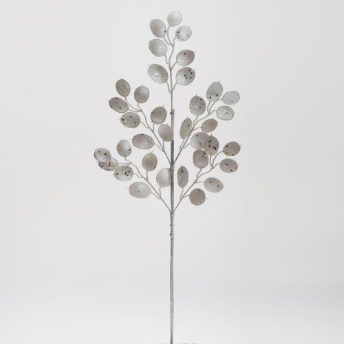 Konár lunária biela 62cm