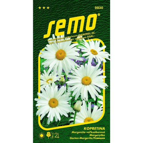 Margaretka biela shasta daisy 0,8g 16,