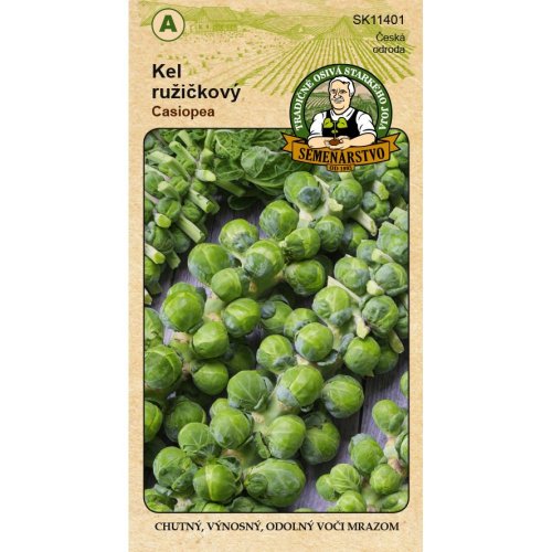 Kel ruž. casiopea 1g