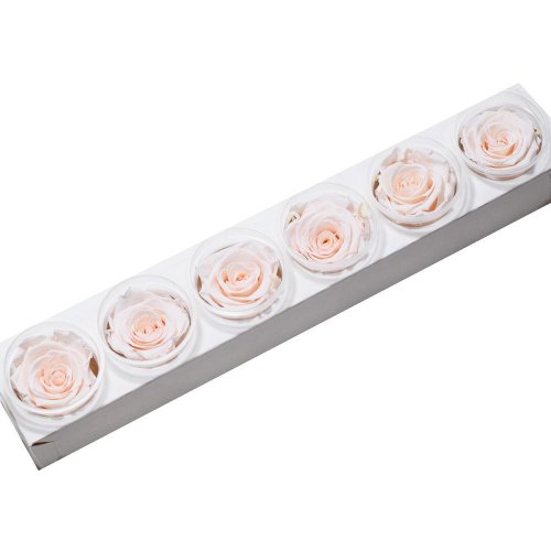 Ruža preparovaná 6,5cm pink blush /ks