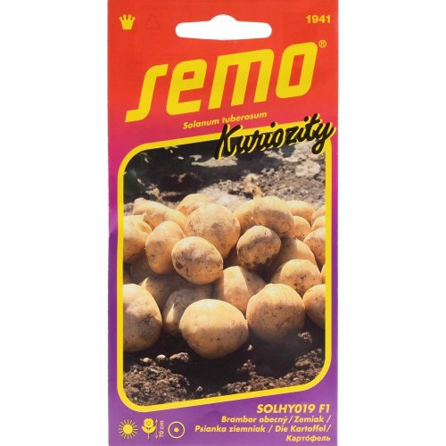 Zemiak obecný 14pel.