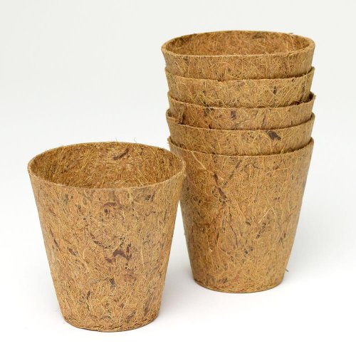 Sada kokos.sadbov 275ml/6ks 8x8cm