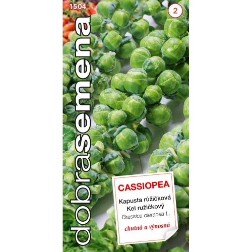 Kel ružičkový cassiopea 0,7g