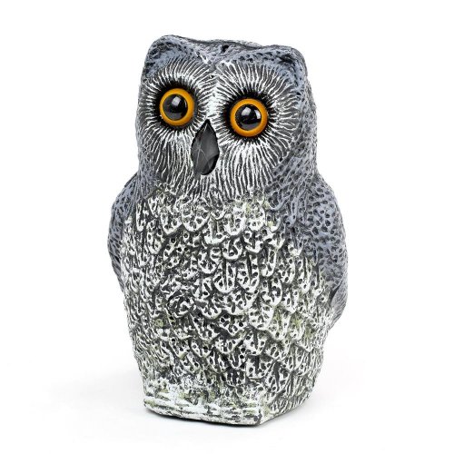 Sova plast 25cm super cena