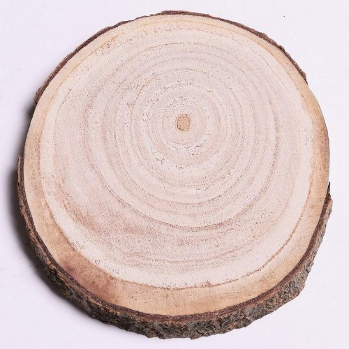 Drevený plát 13-15x2cm - Umelé kvety