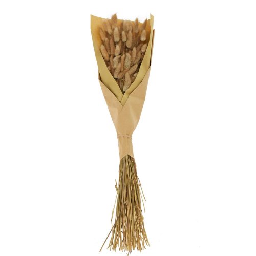 Lagurus sušina natural