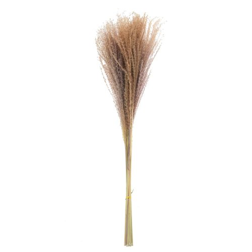 Tráva sušina natural