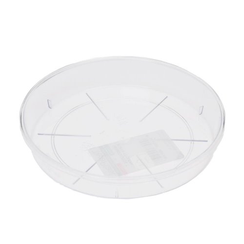 Podmiska plato 20 transparent
