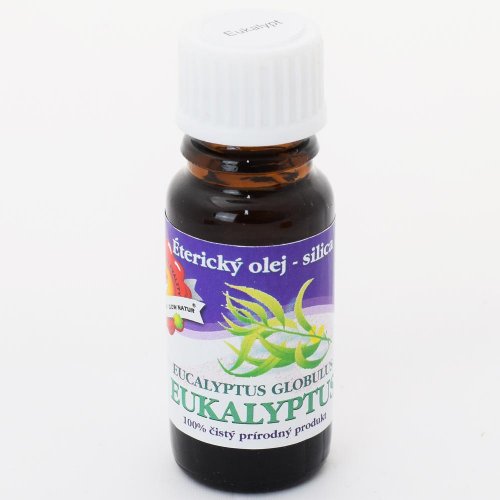 Eucalyptus cz