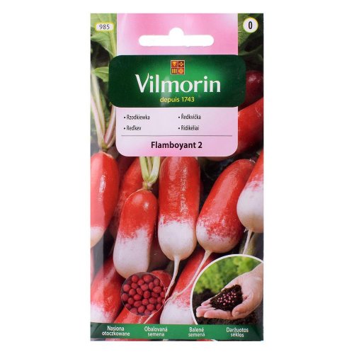 Reďkovka flamboyant červ.-biela 300.sem 3g
