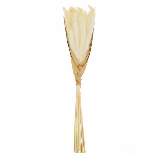 Okrasná tráva biela