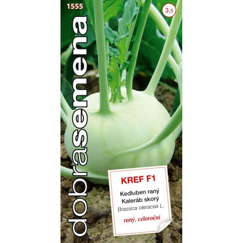 Kaleráb skorý kref f1 40s