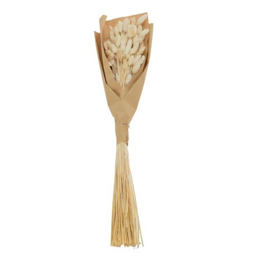 Lagurus sušina biela