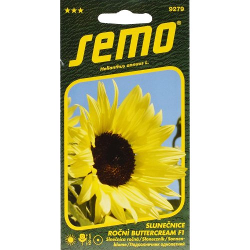 Slnečnica ročná butter cream f1 2g