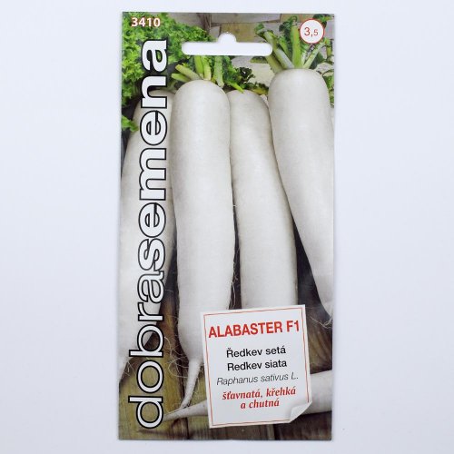 Reďkev siata alabaster f1 1,5g