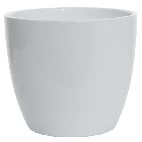 27810 obal alaska weiss 920/19