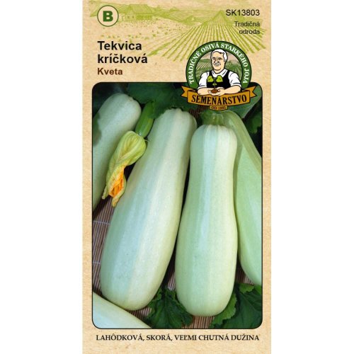 Tekvica kr. obyč. kveta 4g