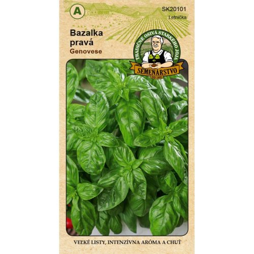 Bazalka pravá genovese 1g