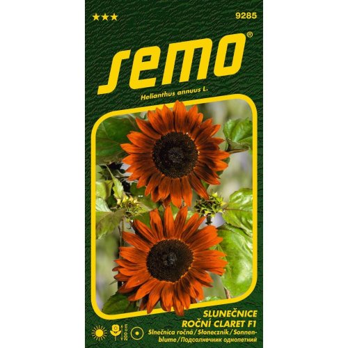Slnečnica ročná claret f1 2g
