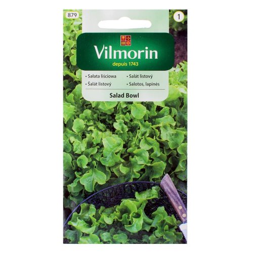 Šalát zmes bowl 1g