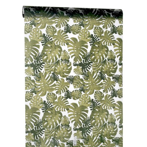 Fólia 50/10 monstera