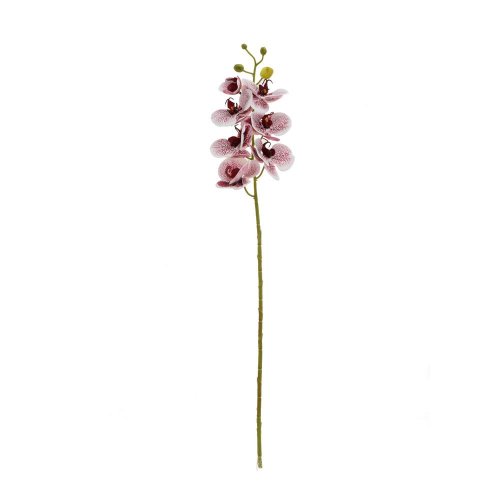 Ks orchidea x7 73cm fialovobiela