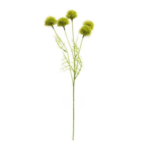 Konár karafiát barbatus green trick 50cm