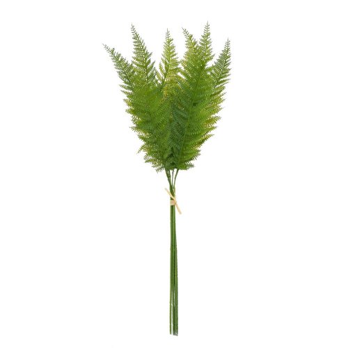 Zeleň papraď zväzok  x6 78cm